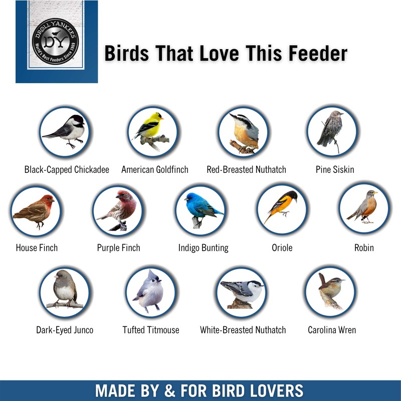 Droll Yankees Observer Window Bird Feeder with Suction Cups, 2