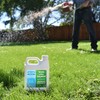 Advanced 16-4-8 Lawn Fertilizer - Liquid Lawn Food Spring &