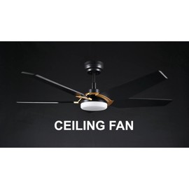 Carro 52" Low Profile Ceiling Fan with Lights, Reversible 10 Speeds Ceiling Fan, 3 Light Colors Dimmable Flush Mount DC Black, for Bedroom, Living room