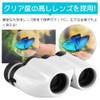 Binoculars for Concerts, Opera Glass, 10x Theater, Dome Live, Sports