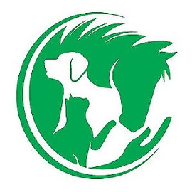 COLAGENO PLUS PARA PERROS Y GATOS - Artritis, piel y pelo, Uñas