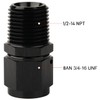 Podavelle 8AN Female Flare Swivel to 1/2 NPT Pipe Male