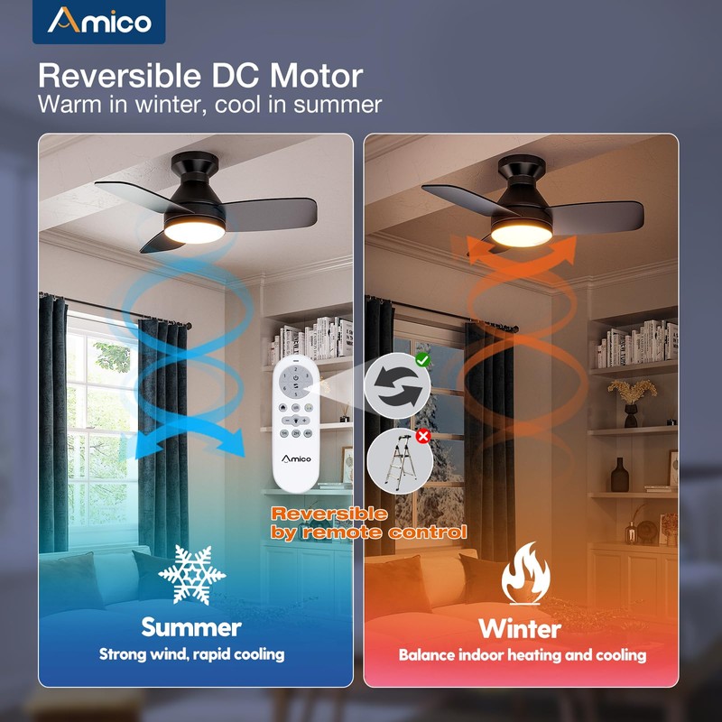 Amico Ceiling Fans with Lights, 30 inch Low Profile Ceiling