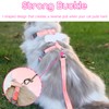 RTRTGS Rabbit Cat Harness with Lead, Adjustable Rabbit Lead, Cat