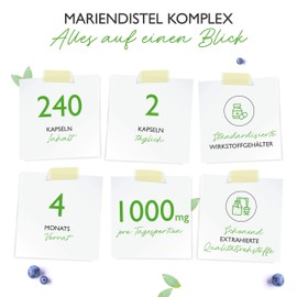 Vit4ever® Milk Thistle Artichokes Dandelion Complex – 240 Capsules (4 Month Supply) – Introduction Price – High Dose with 80% Silymarin and 2.5% Cynarin – Vegan