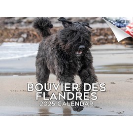 2024 2025 Bouvier Des Flandres Calendar - Dog Breed Monthly Wall Calendar - 12 x 18 Open - Thick No-Bleed Paper - Giftable - Academic Teacher's Planner Calendar Organizing & Planning - Made in USA
