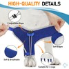 Supet knuckling Brace for Dogs, Comfortable Foot Brace, Ankle Brace