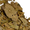6.00 oz Boldo Leaves Bag - Despensa Colombiana Hojas de