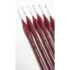 Artmaster Artists & Modelmakers Fine Detail Brush Set of 6
