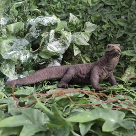 Vivid Arts - Komodo Dragon - PP-KOMO-F