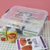 Zerdyne 2 Packs 7 L Plastic Storage Boxes with Grey