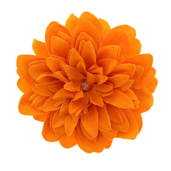 Zac's Alter Ego Chrysanthemum Flowers on Elastic