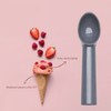 Heavy Duty Durable Ice Cream Scoop,Nonstick Anti-Freeze Plastic Spoon,Professional Icecream