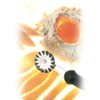 Westmark Teigrad/Gewelltes Schneidrad, ø 3,6 cm, Länge: 17,6 cm, Rostfreier