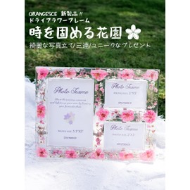 ORANGESCE Time-consolidating Flower Garden, Triple Picture Frame, Preserved Flowers, Trapped in Time, For Women and Girls, Girlfriend, Mother, Valentine's Day, Anniversary, Birthday, Popular, Wedding