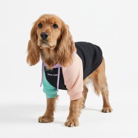 Spark Paws Dog Hoodie Jumper - Premium Quality, Buttery Soft, Superior Comfort and Fit, Calming Fleece Interior, Suitable for All Breeds - Cyber Punk, L