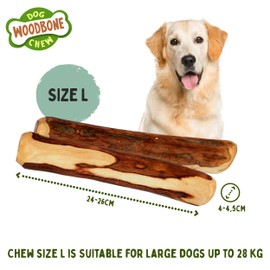 Woodbone Olive Wood Dog Chew Toy for Large Dogs - Natural Dental Chewing Stick - Set of 2 Size L
