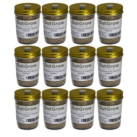 BRF Jars Mushroom Substrate (12 Pack)