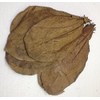 Pack of 100 (300 g) 20-25 cm Indian Almond Leaves