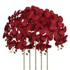 Dark Red Flowers 5PCS Artificial Orchids 41" Long for Tall