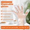 GENERALCARE Disposable Plastic Gloves Food Handling Service Gloves Disposable for