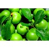 Green Plum (Yeşil Erik)