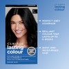 Clairol Lasting Colour Permanent Hair Dye | Ideal Grey Coverage