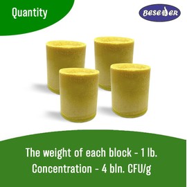 Slow-dissolving Grease Trap Cleaner block 1 Lb, 4 bln. CFU/g. for cleaning grease traps and Wastewater treatment plants from grease, oil and FOG.