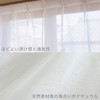 Curtain Laboratory, Gauze-Style Natural Lace, White, Width 39.4 x Length