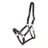 Kieffer Stable Leather Headcollar Black with Pattern Dark Grey Grey