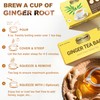 LeafLea 40 Ginger Tea Bags, 100% Pure & Natural from
