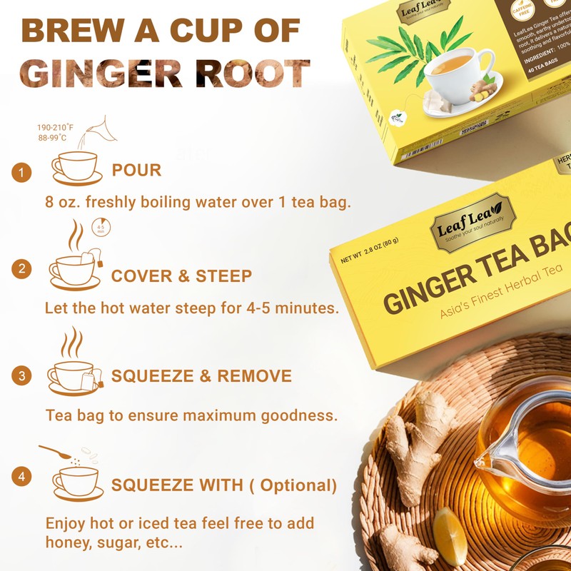 LeafLea 40 Ginger Tea Bags, 100% Pure & Natural from