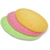 Spontex ColorMix cloth sponge, extra absorbent and tear-resistant, pack of