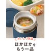 Wahei Freiz Fortec RH-1612 Bento Lunch Soup Jar, 10.1 fl