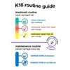 K18 Peptide Prep Detox Shampoo Jumbo 473ml