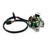 Generator Ignition Stator Base Assy For Suzuki RM250 (Model K5/K6)