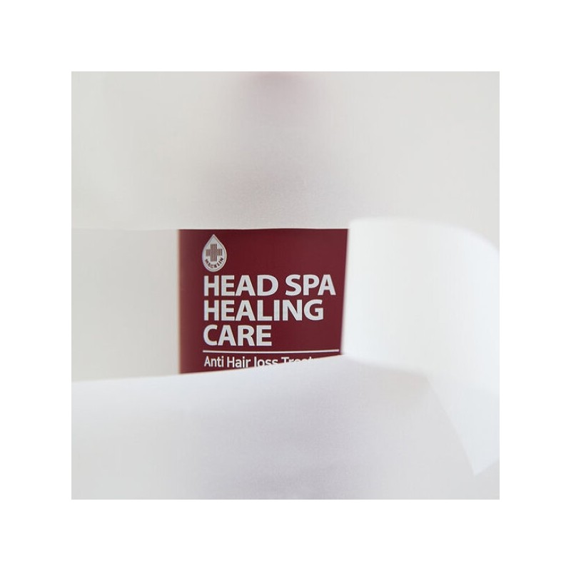 McLean Head Spa Healing Care Treatment 200ml+200ml / 맥클린 헤드스파