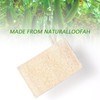 6Pcs Kitchen Loofah Sponge Organic Dishwashing Sponge Biodegradable Natural Fiber