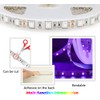 LED Strips
