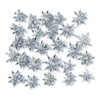 Daichi Farm DO021020-912 Dried Flowers, Star Anise, Silver, Approx. 1.2