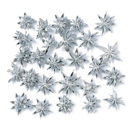 Daichi Farm DO021020-912 Dried Flowers, Star Anise, Silver, Approx. 1.2 inches (3.0 cm), 1.2 oz (35 g)