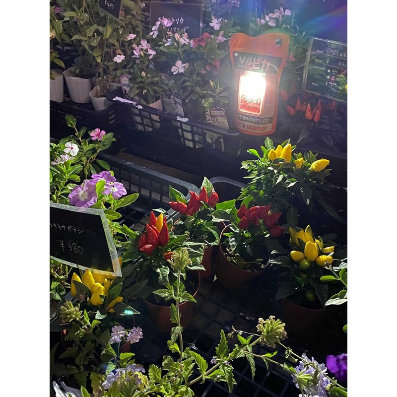 Solpica Ultra Light Saltwater Light LED Lantern [Genuine Japanese Products]