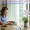 E-feilai - Large Glass Watering Globes for Gift, Self-Watering Bulbs