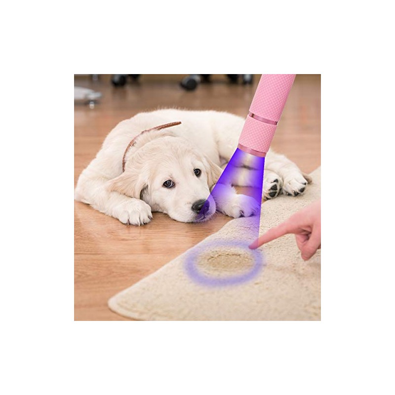 Coolrunner 3pcs LED Flashlight, Small Glow Flashlights with 9 LED