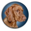 Magyar Vizsla Hungarian Shepherd Dog Portrait 5 Round Fridge Magnets