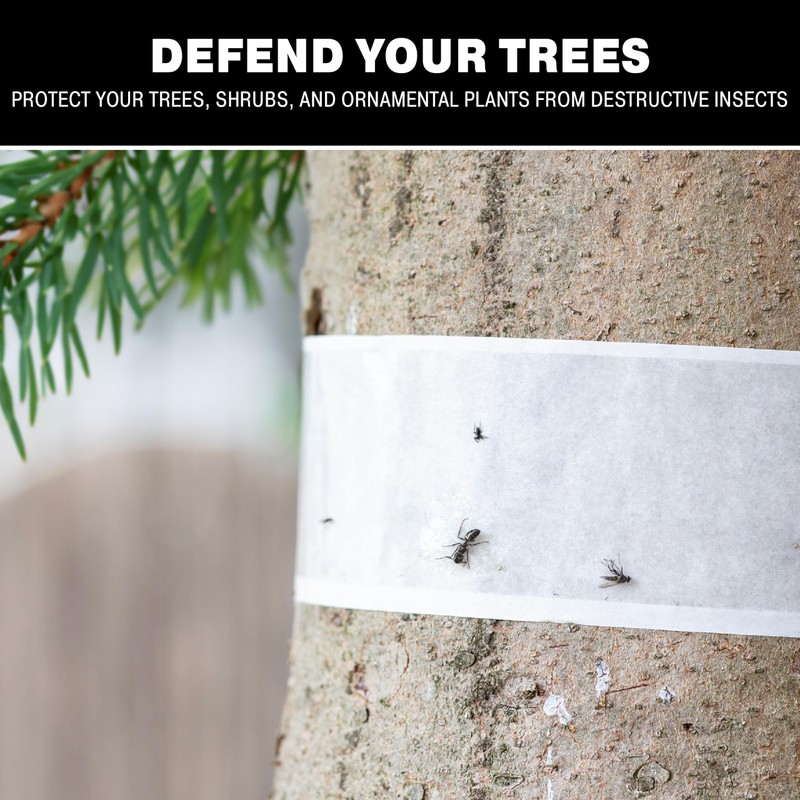 Catchmaster Tree Shield Lantern Fly & Ant Traps Insect Barrier,