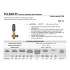P.A. Unloader Valve Pressure Washer Pump Pulsar 4/Rv – 4500