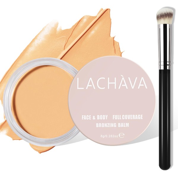 LOKFAR Concealer Full Coverage Kit with Brush, Under Eye Concealer