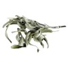 Alnakheel Dried Sage Leaves 7 oz (200g) Loose Leaf Natural&Authen