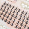 CLEAREYELASH Partial False Eyelashes, Large Capacity, 60 pcs, Korea, Natural,